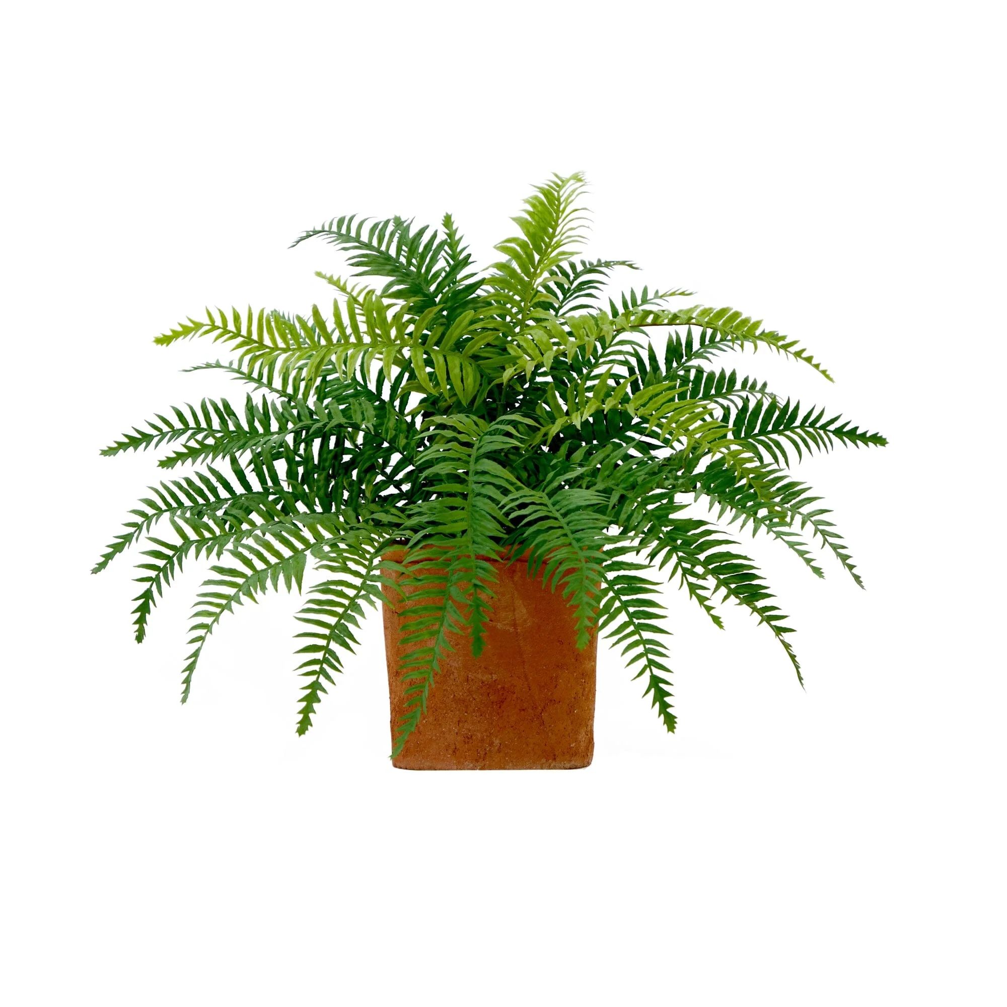 22” Artificial Fern Plant in Decorative Planter | Nearly Natural | Nearly Natural