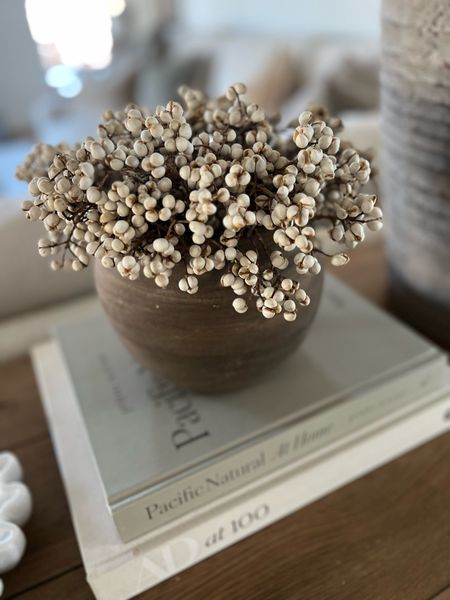 These florals are a great alternative to the green stems you see everywhere for spring if you are looking for something more neutral. The planter had the vintage look but not the vintage price tag! 

#LTKstyletip #LTKSeasonal #LTKhome