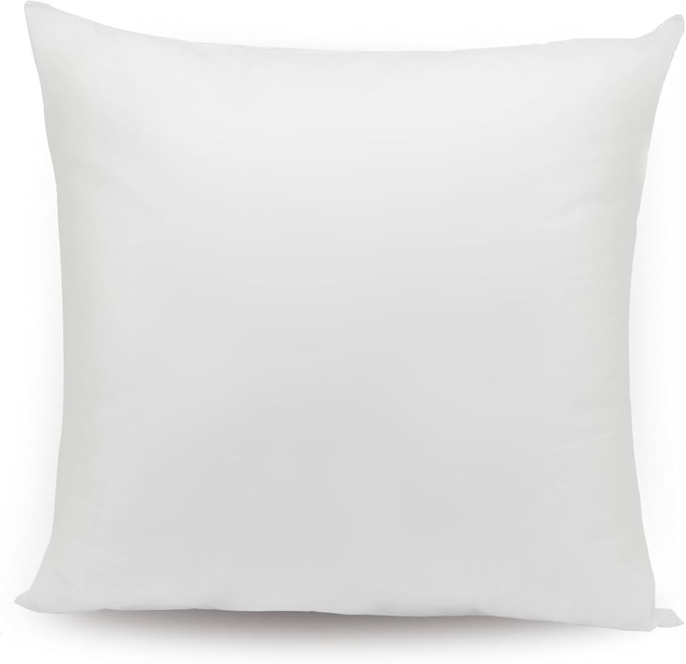 Pal Fabric Square Sham Pillow Insert 22x22 Made in USA (22x22) | Amazon (US)