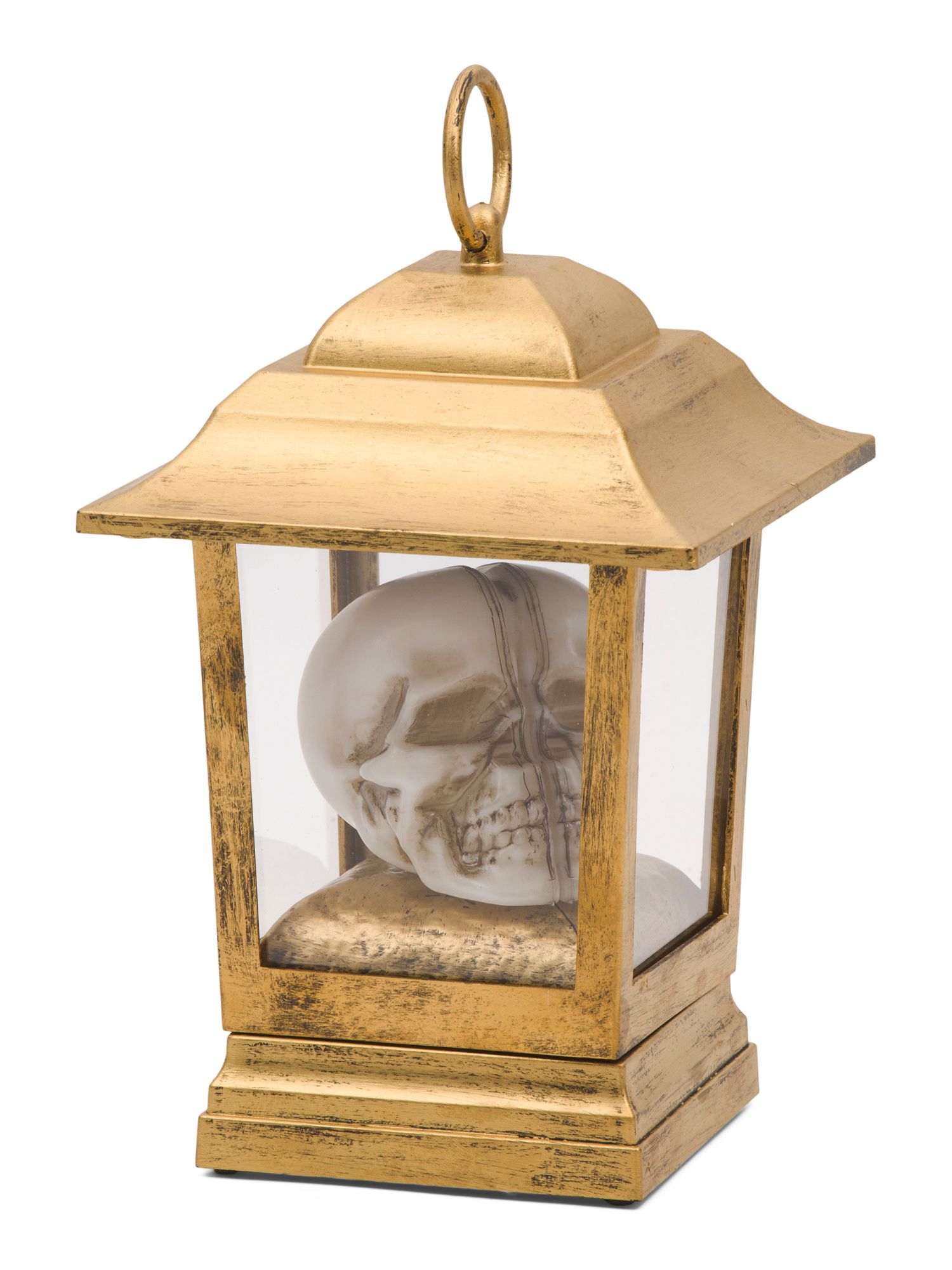 Led Skull In Lantern | TJ Maxx