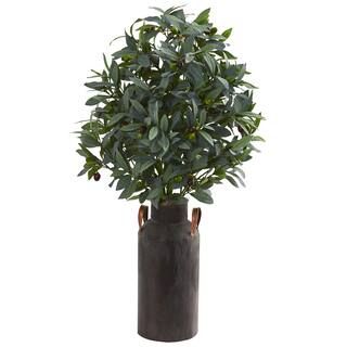 2.5ft. Olive Tree with Berries in Decorative Canister | Michaels Stores