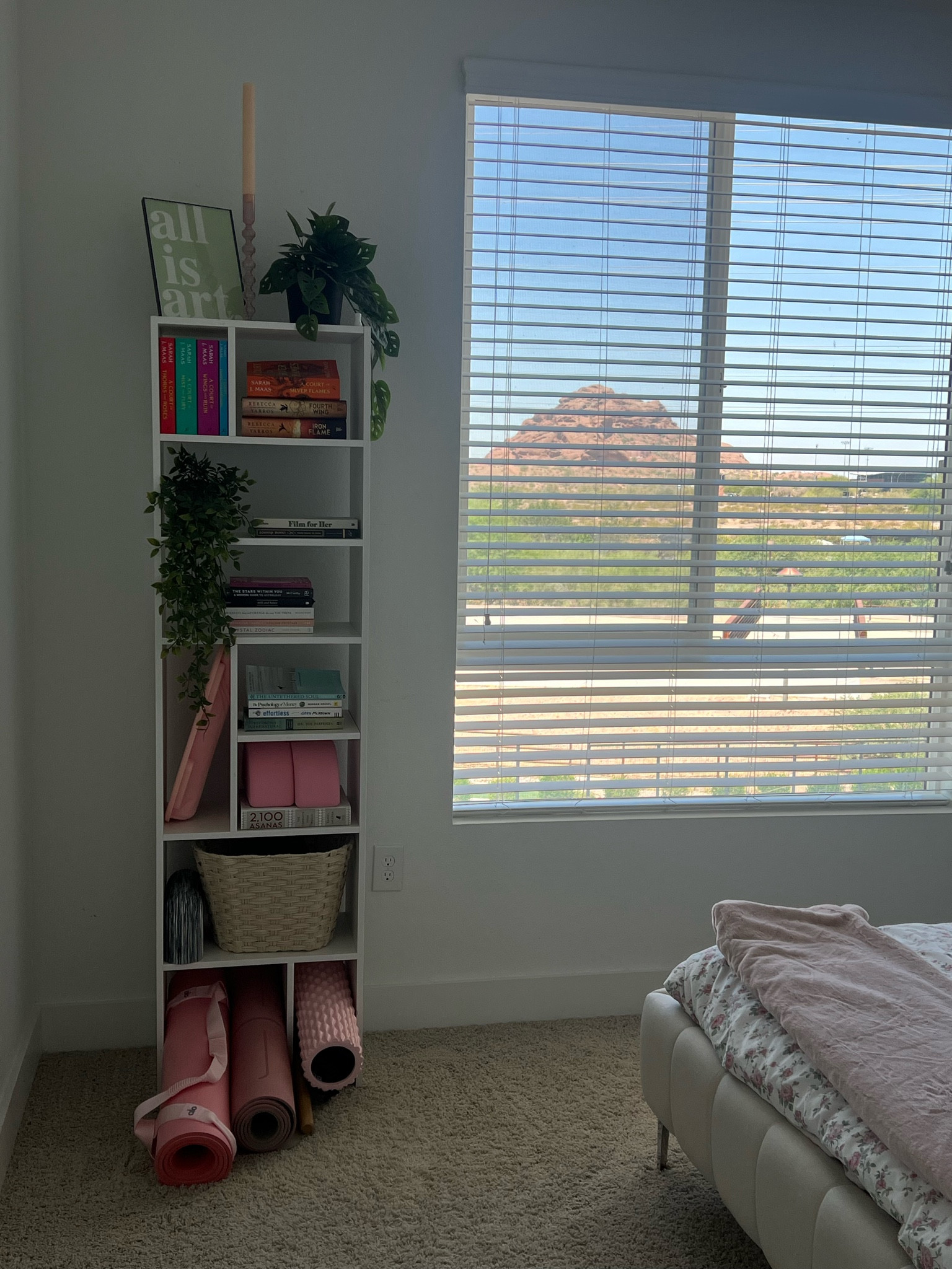 bookshelf 💞 

#LTKSeasonal #LTKHome