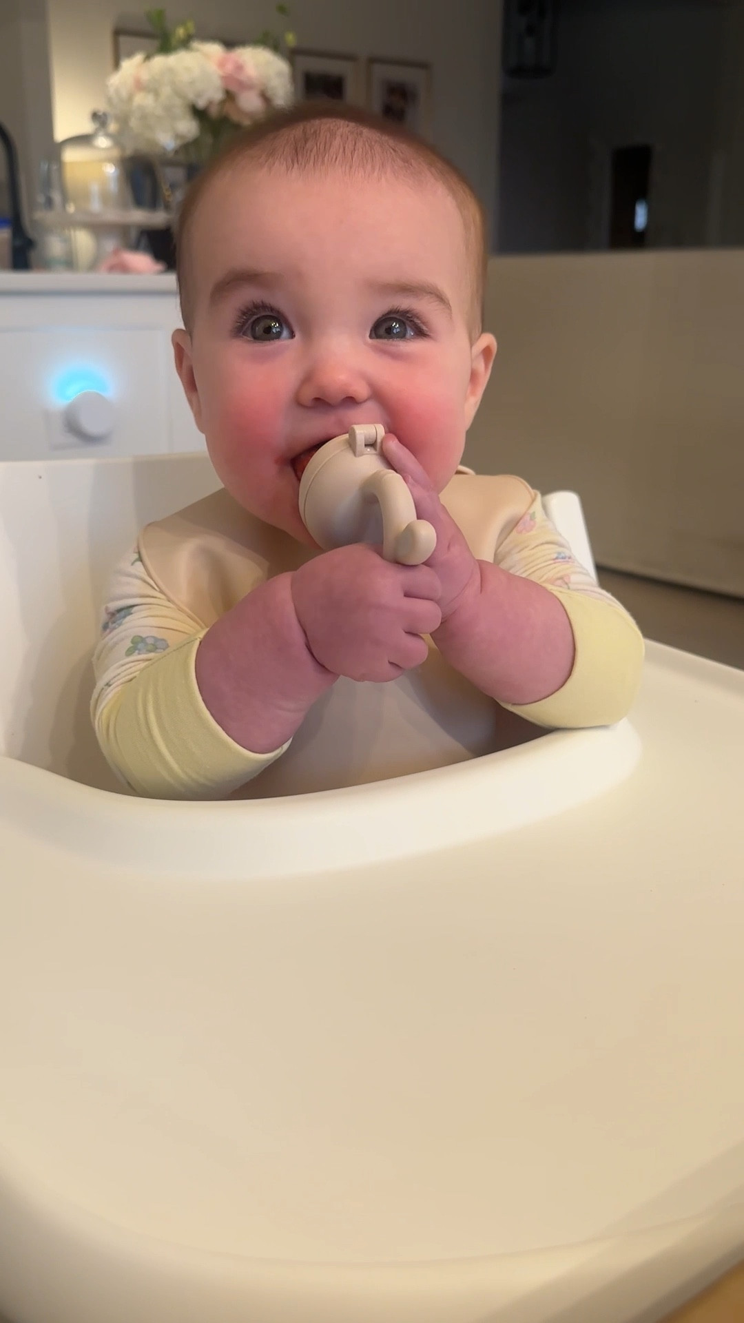 Loving raspberries in our @mossandfawn forage feeder this morning ☀️ use code MCKENZI 