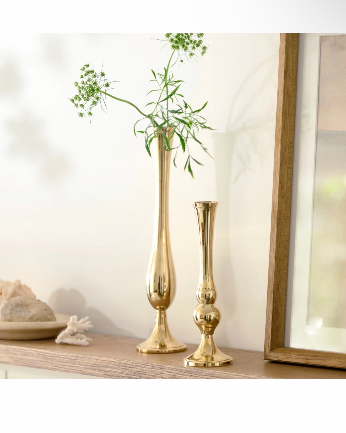 Embry Solid Brass Bud Vase

#LTKMothersDay #LTKHome