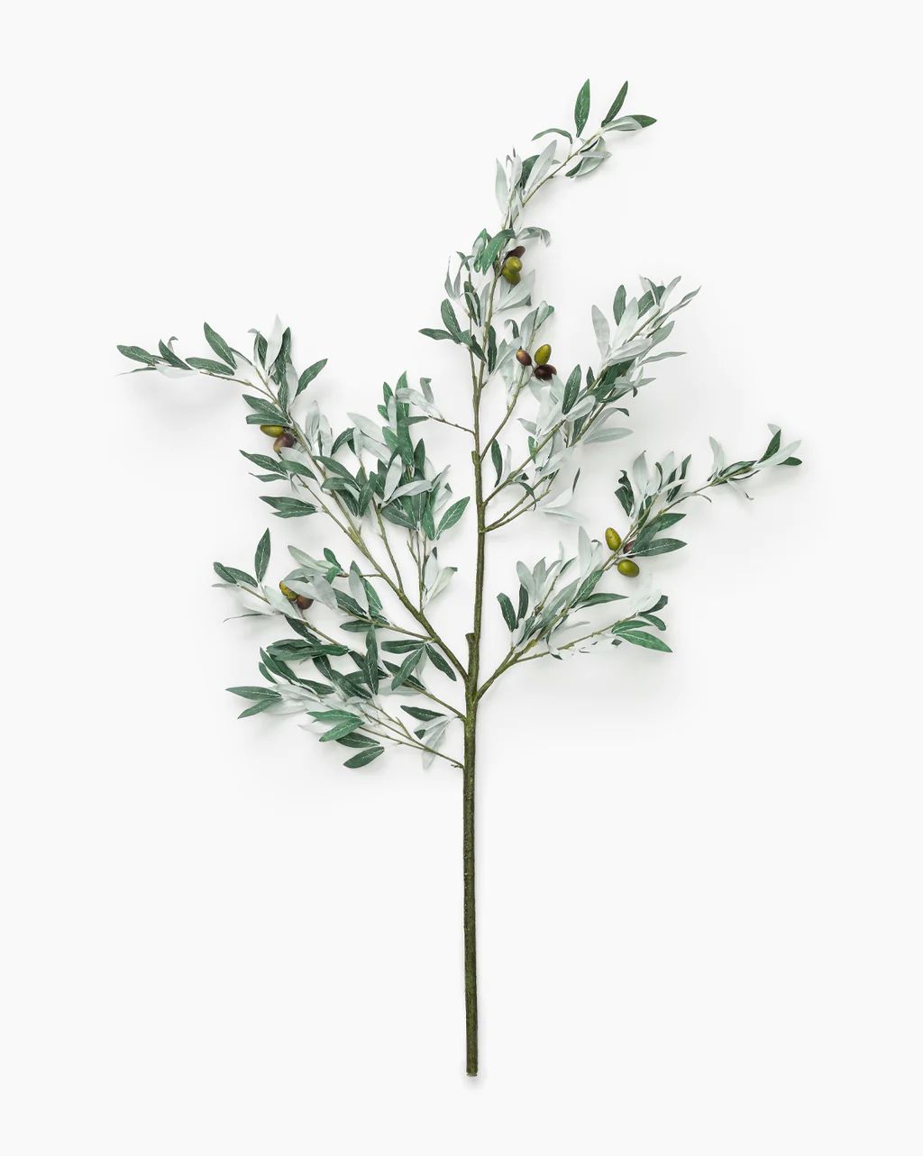Faux Olive Branch | McGee & Co.