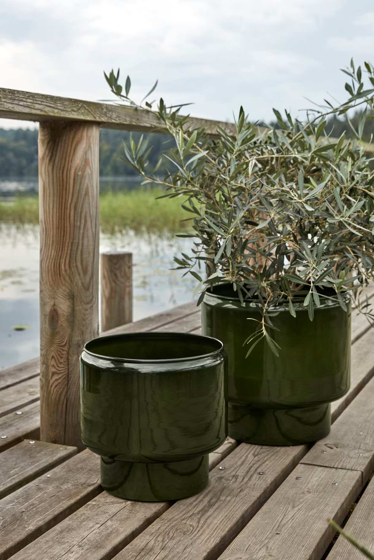 Planten, Hdpile | H&M (DE, AT, CH, NL, FI)