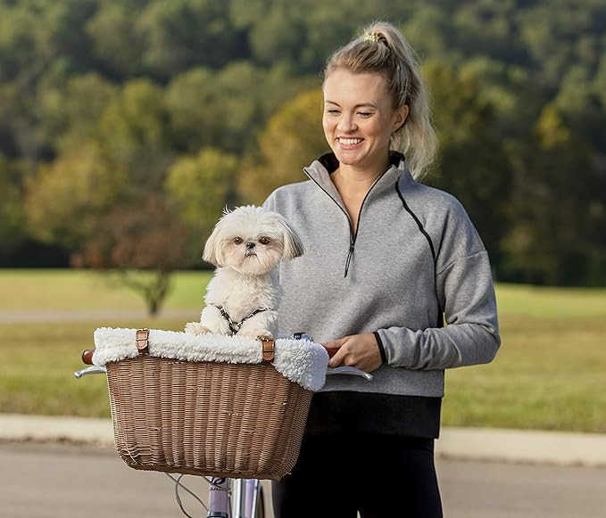 PetSafe Happy Ride Wicker Bicycle Basket for Dogs and Cats - Stylish Weather Resistant Wicker Mat... | Amazon (US)