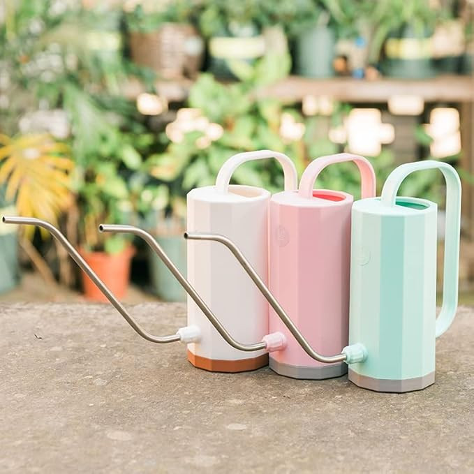 Watering Can for House Plants with Long Non-Spill & Smooth-Stream Spout, Great for Indoor & Outdo... | Amazon (US)