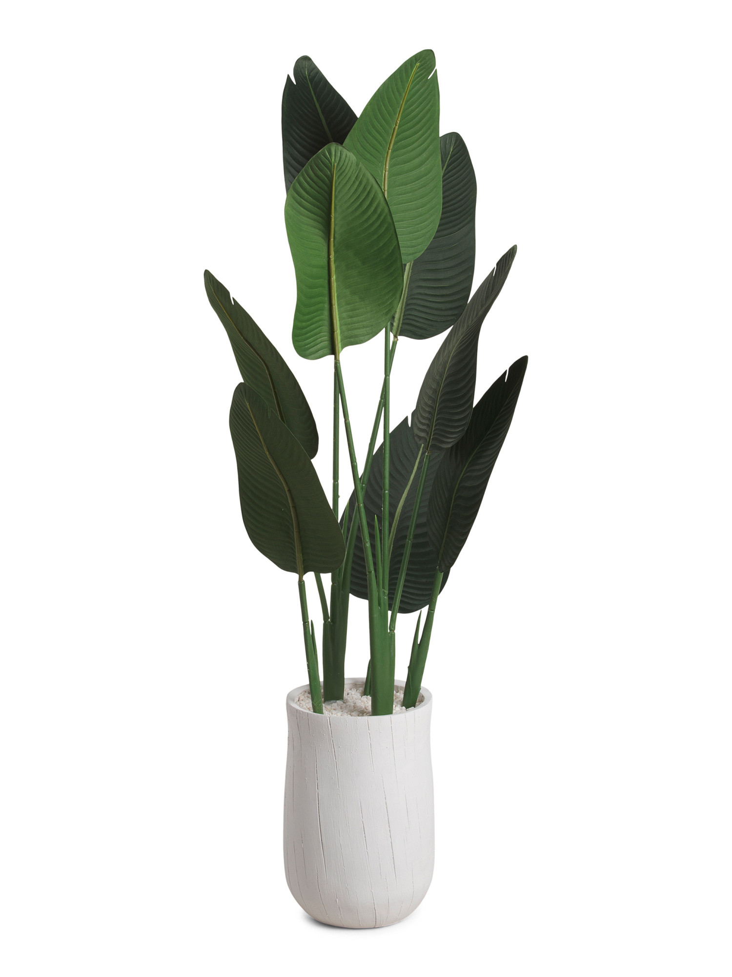 48in Banana Leaves In Pot | TJ Maxx
