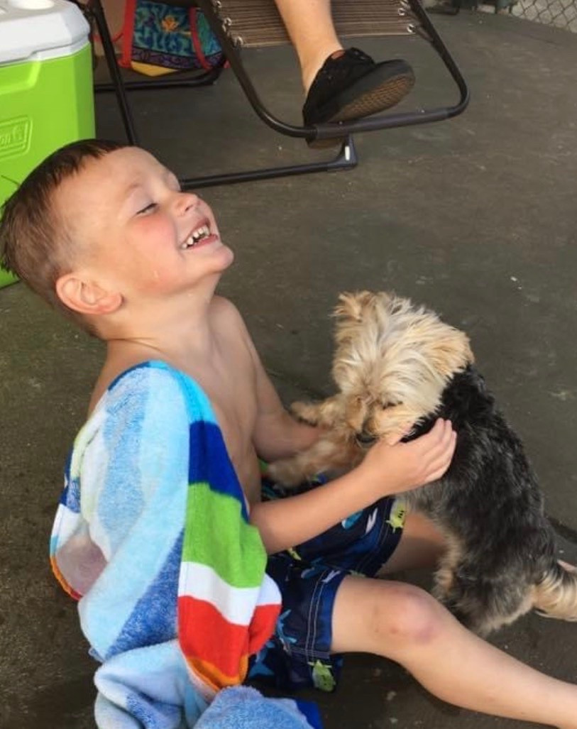 Kids back to school for boys! #trending #backtoschool

#LTKmomlife #LTKSaleAlert #LTKKids