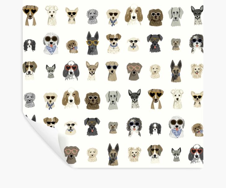 Dog Days Peel & Stick Wallpaper | Rifle Paper Co.