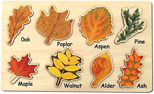 Leaf Wooden Jigsaw Puzzles Educational Learning Stem Toys Boys Girls Birthday Gift Colorful Shape | Amazon (US)