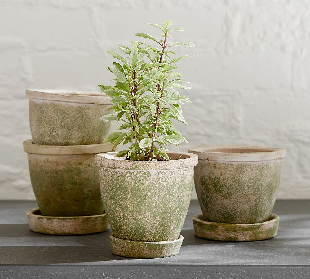 Provence Scalloped Edge Planter - Moss | Pottery Barn (US)