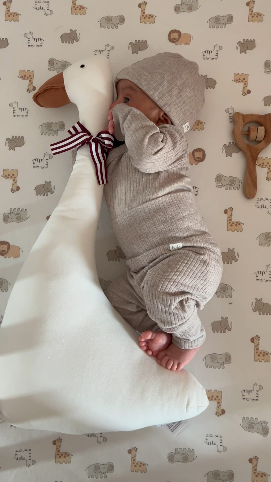 Shop this look! 😍


#firsttimeparents #pregnancy #firsttimedad #firsttimemom #newdad #newmom #newborn #girlmom #hm 

#LTKmaternity #LTKbaby #LTKcanada