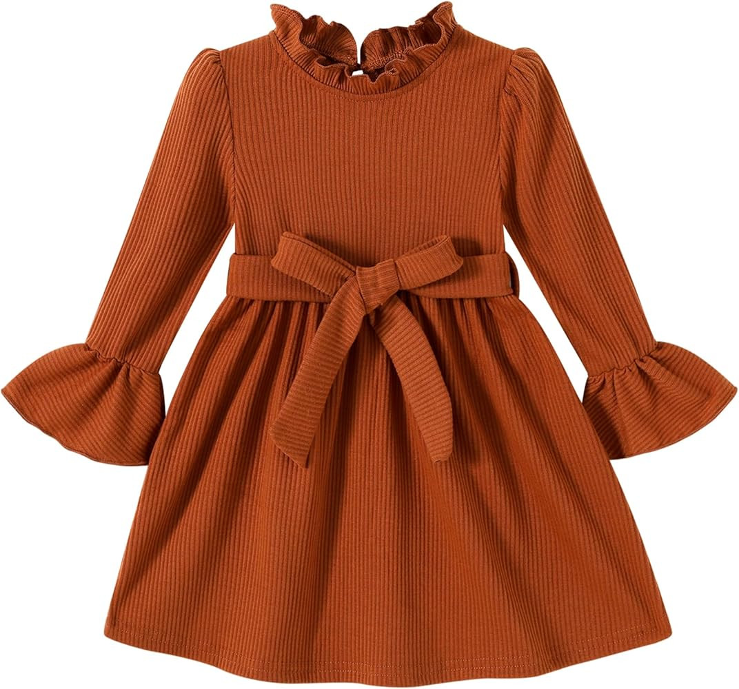 JEELLIGULAR Toddler Girl Dress Long Sleeve Knit Sweater Dress for Kids Little Girl Dresses Fall W... | Amazon (US)