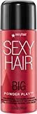 Amazon.com: SexyHair Big Powder Play Volumizing & Texturizing Powder, 0.53 Oz | Colorless on Hair... | Amazon (US)