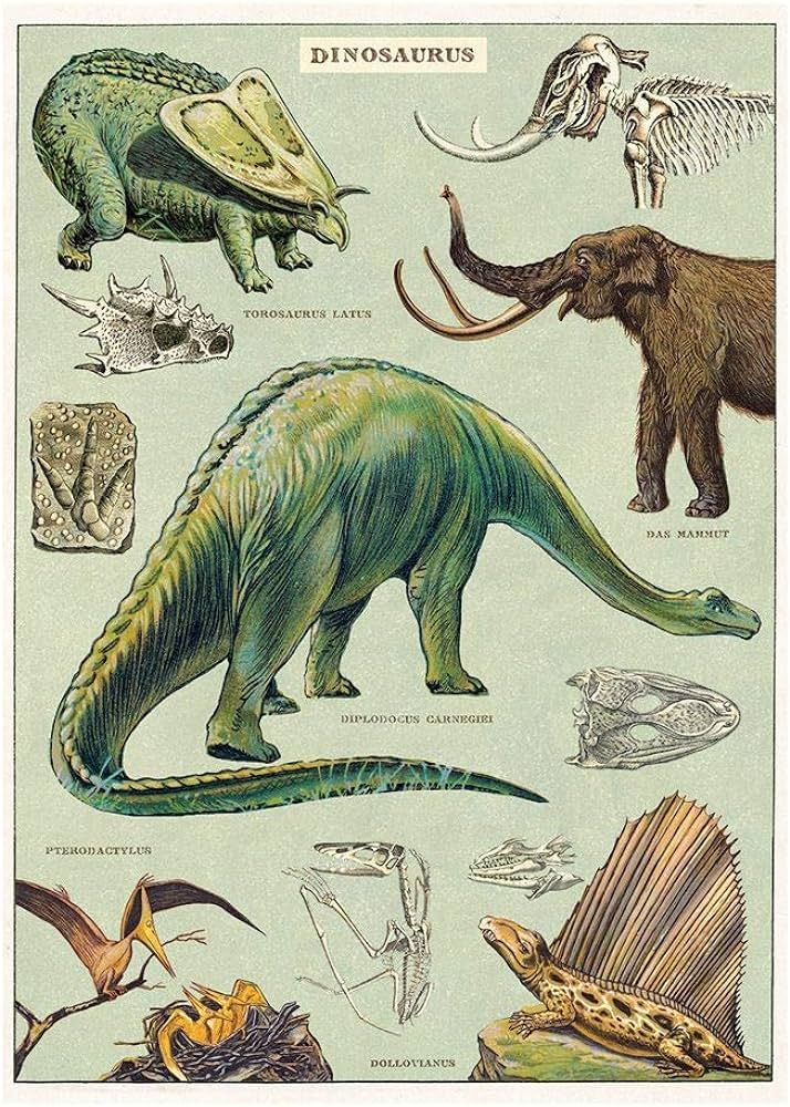 Cavallini & Co. Decorative Wrap Poster, Dinosaurs, 20 x 28 inch Italian Archival Paper (WRAP/DINO... | Amazon (US)