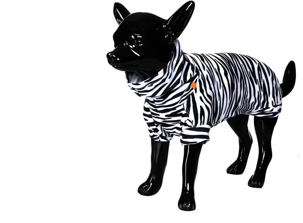 PAIKKA UV & Bug Dog Shirt | Chewy.com