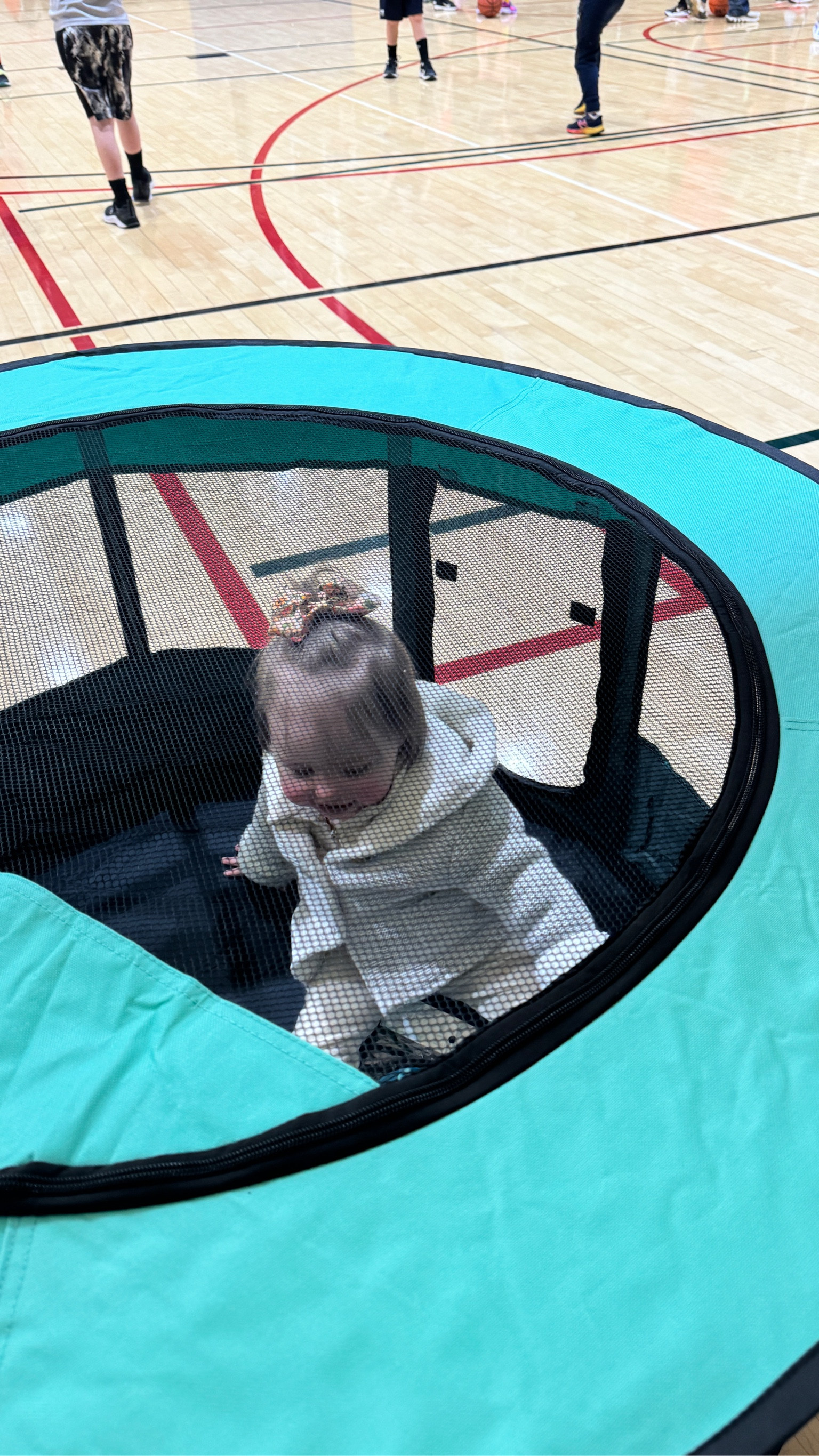 Portable dog pen we used to keep Aalaya safe at Abs basketball practice! 

#LTKBaby #LTKFamily #LTKKids