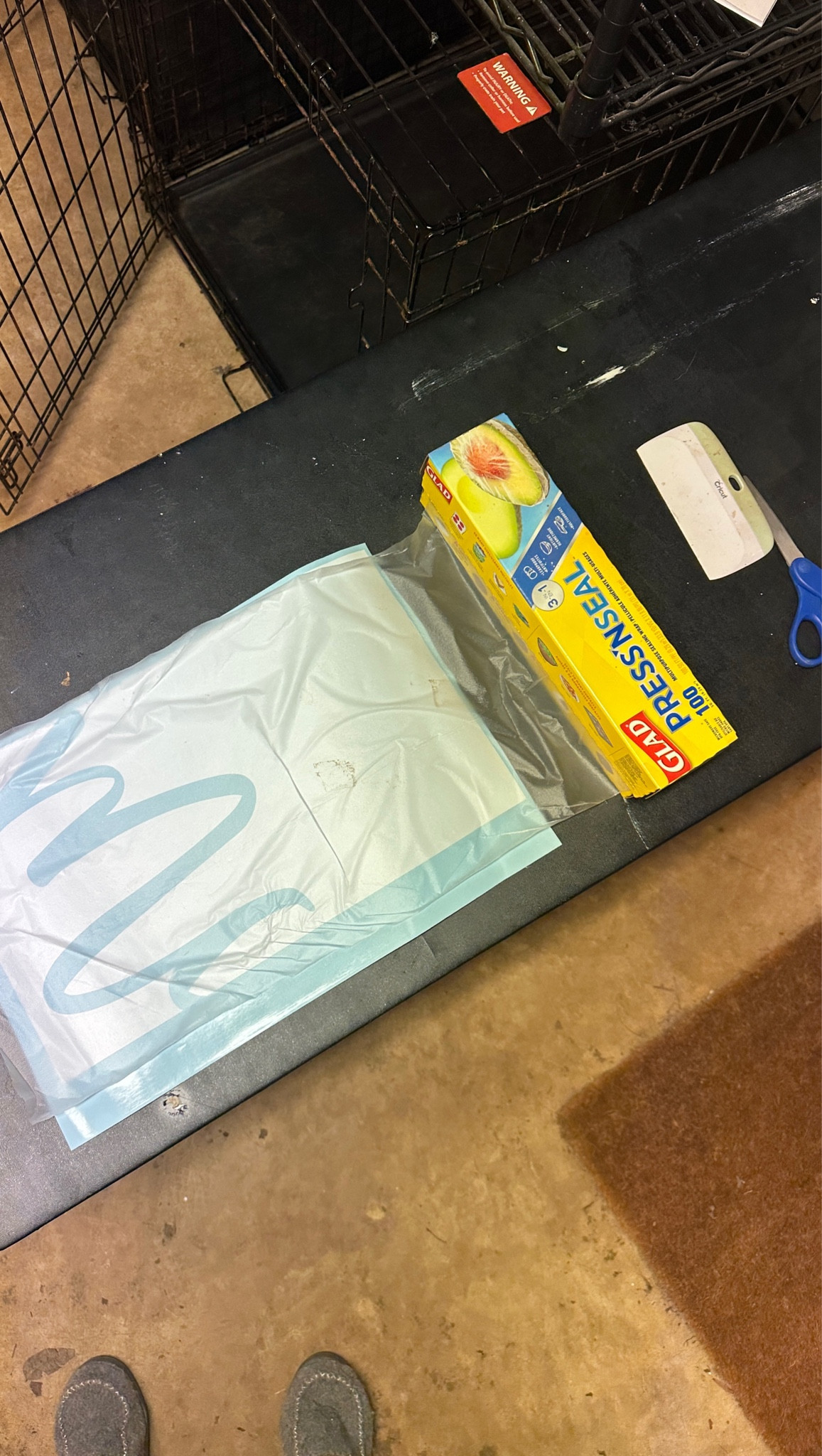 I make hand painted doormats as a side hustle and these are several products I use every single time!! 

#diy #crafting #doormat #diydoormats

#LTKHome #LTKFamily #LTKFindsUnder50