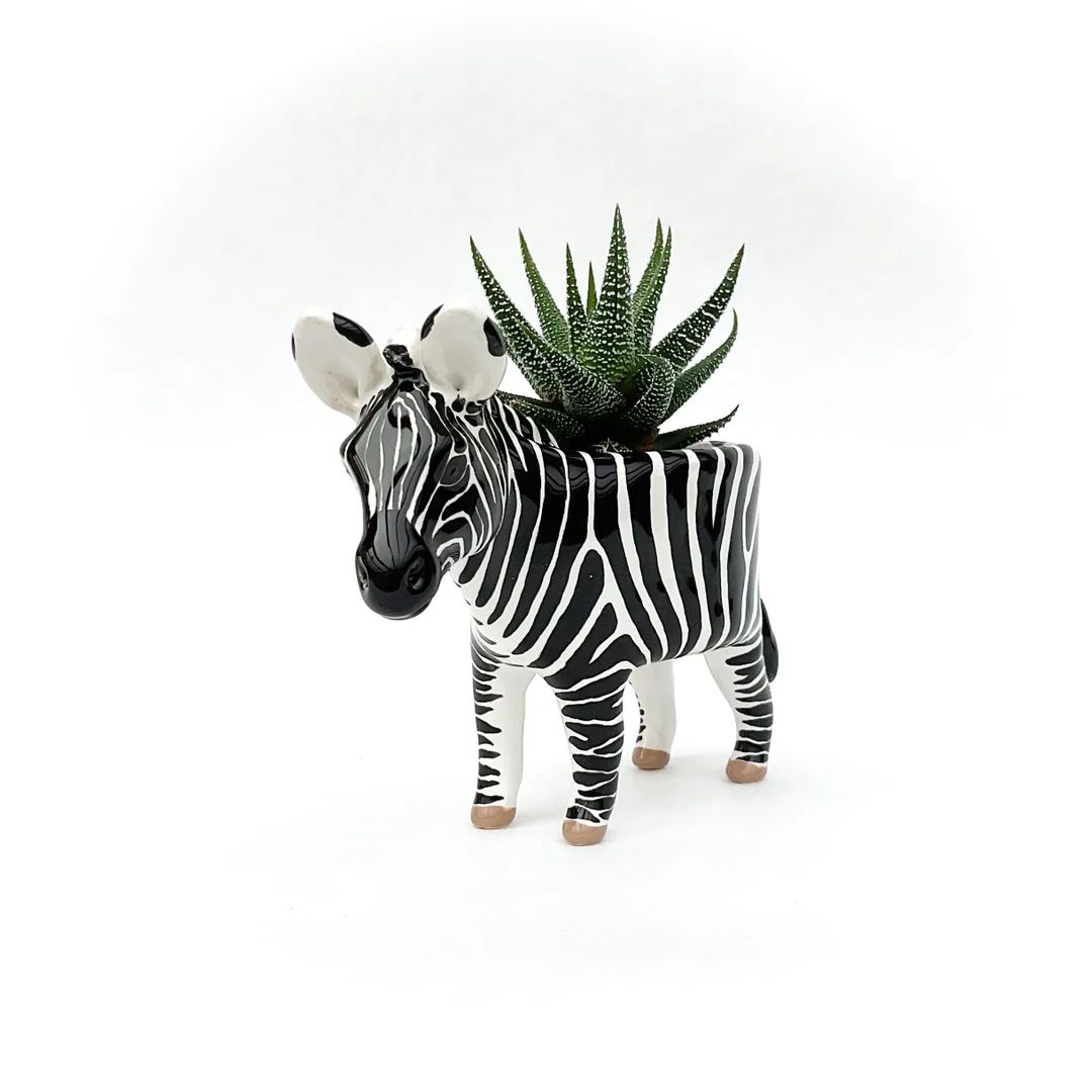 Zebra Pot  Ceramic Zebra Planter - Etsy | Etsy (US)