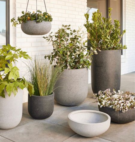 My favorite all weather planter collection is on sale right now. Three finish options and lots of sizes available! 

#planter #concreteplanter 

#LTKSeasonal #LTKHome #LTKStyleTip