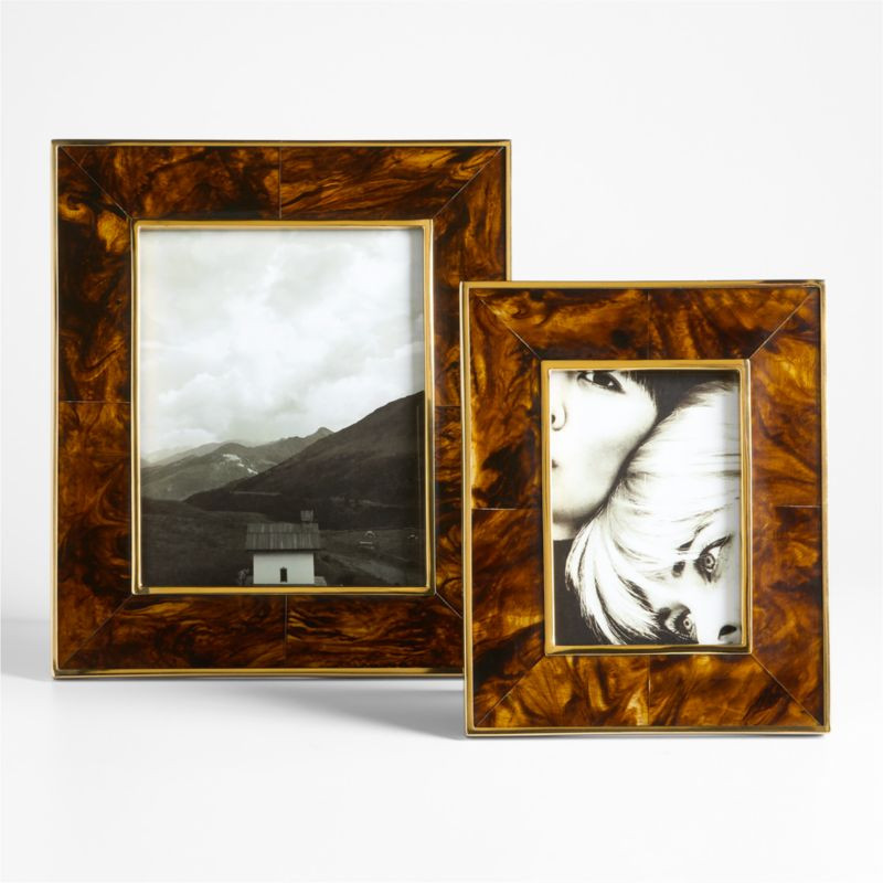 Tortoise Brass Resin 5x7 Picture Frame | Crate & Barrel