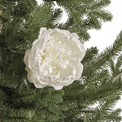 Frosted Peony Stems Set of Six with Lifelike Bendable Floral Accents for Indoor Decor | Frontgate