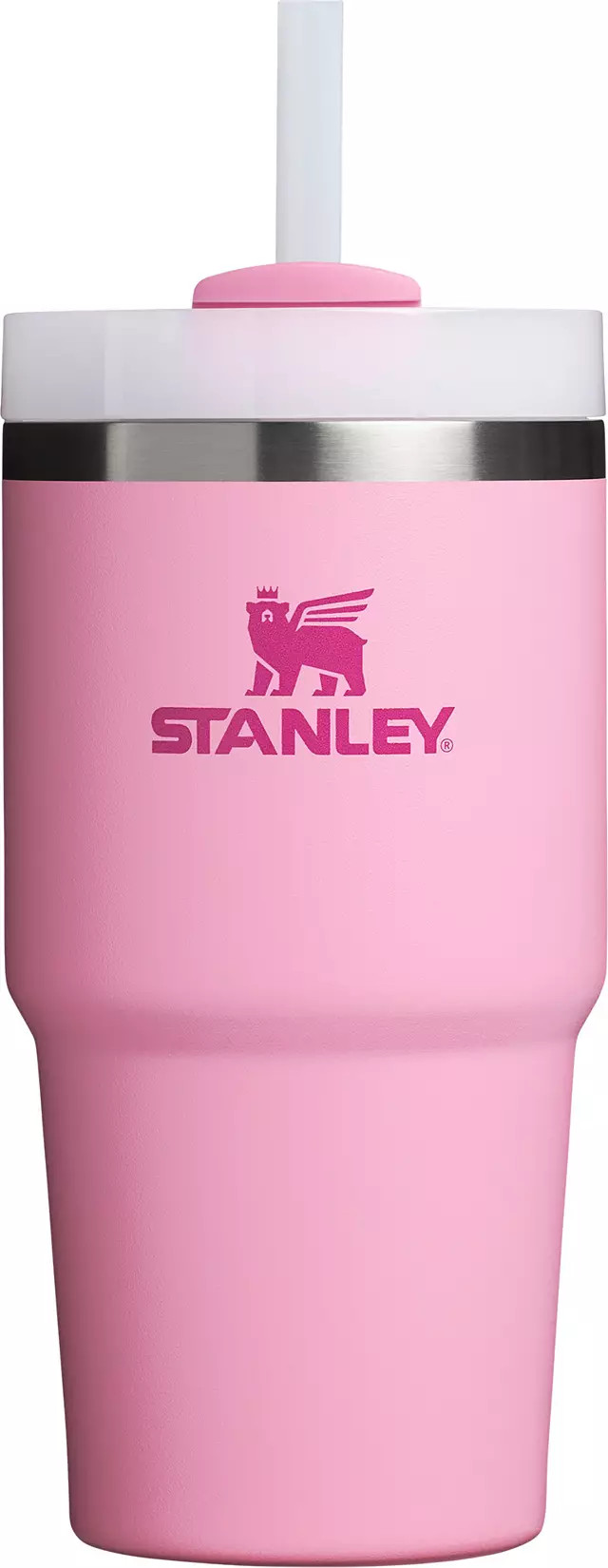 Stanley 20 oz. Quencher H2.0 FlowState Tumbler | Dick's Sporting Goods