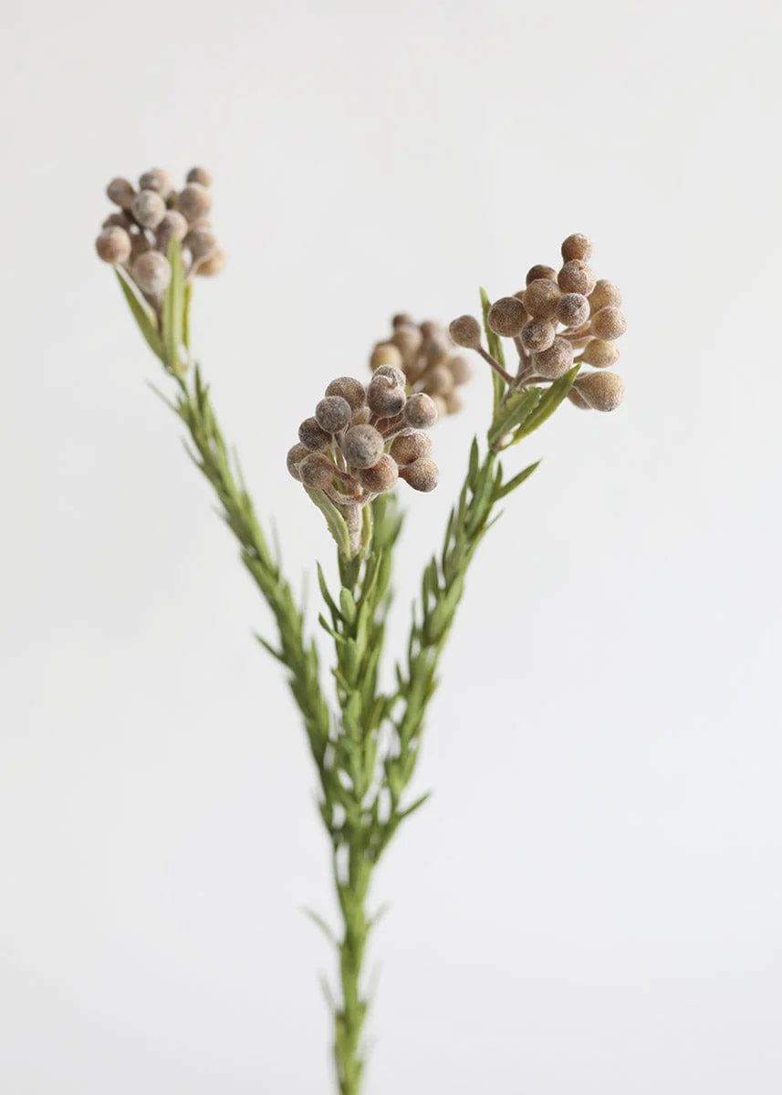 Artificial Brunia Berries in Taupe - 20 | Afloral (US)