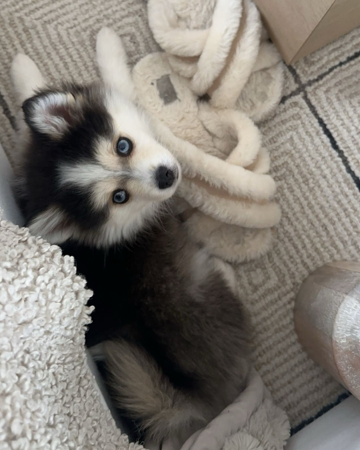 Staying warm with my fuzzy babe & fuzzy slips 🥰