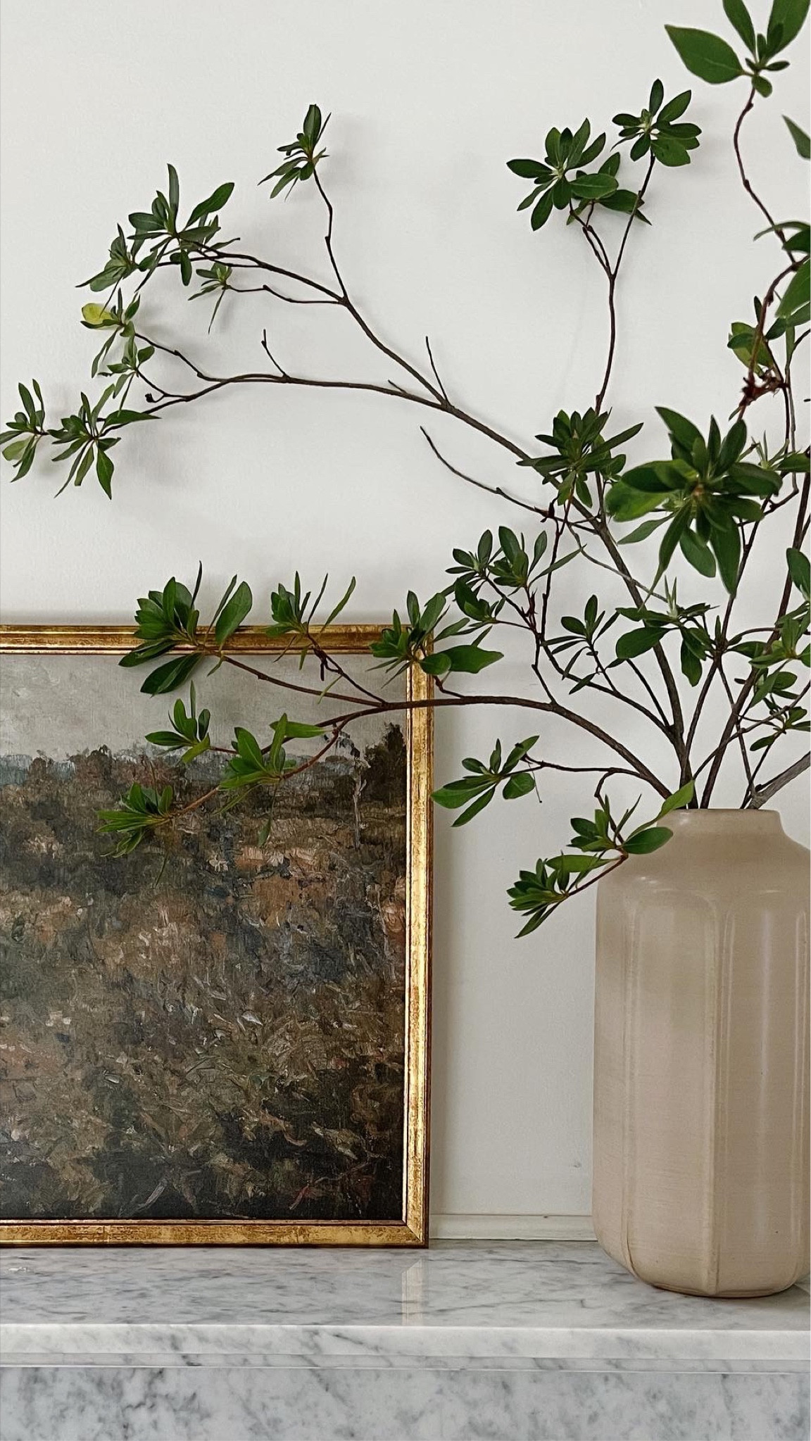 Designer Approved Target Decor Finds

#LTKhome