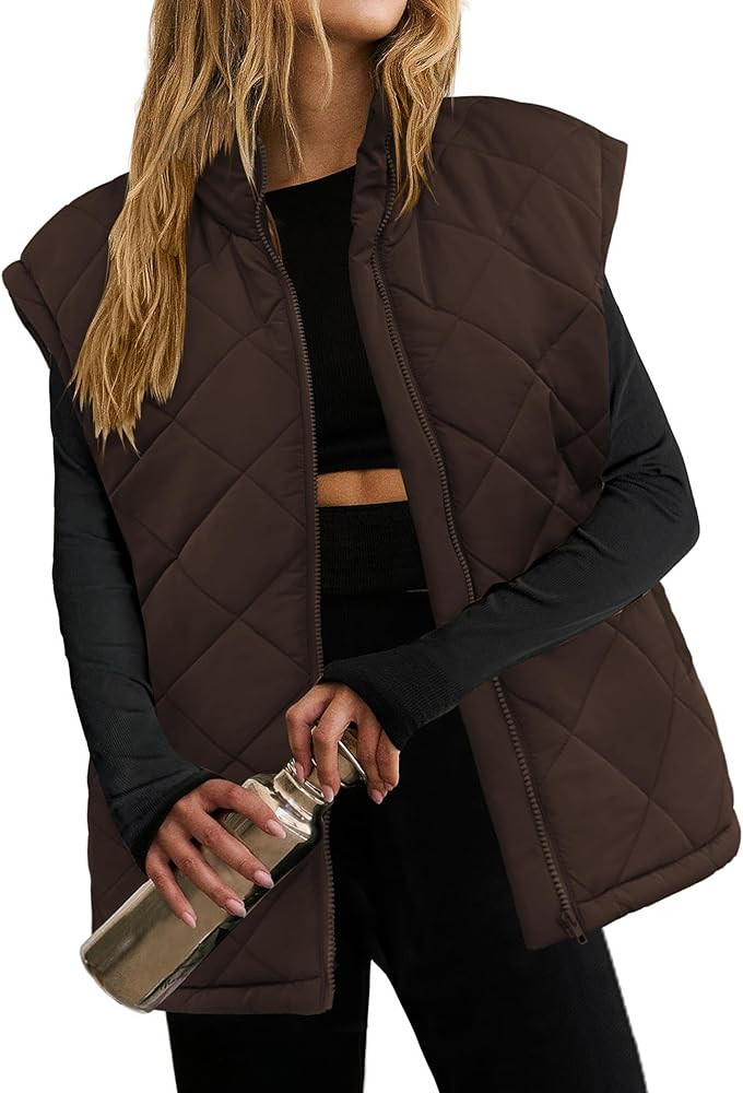 Zeagoo Womens Oversized Puffer Vest Zip Up Stand Collar Lightweight Sleeveless Warm Outerwear Pad... | Amazon (US)