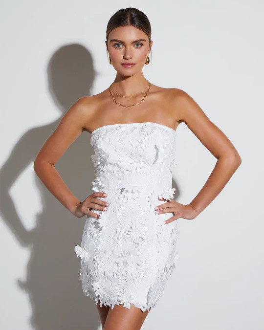 Madelyn Embroidered Floral Strapless Mini Dress | VICI