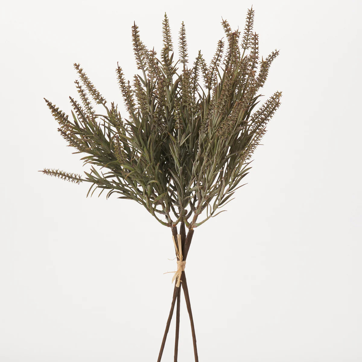 Dusty Green Astilbe Stem Bundle Dried Look Fall Foliage Bouquet -18" | Darby Creek Trading