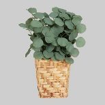 Hanging Woven Planter with Eucalyptus Plants Wall Sculpture Green - Threshold™ | Target