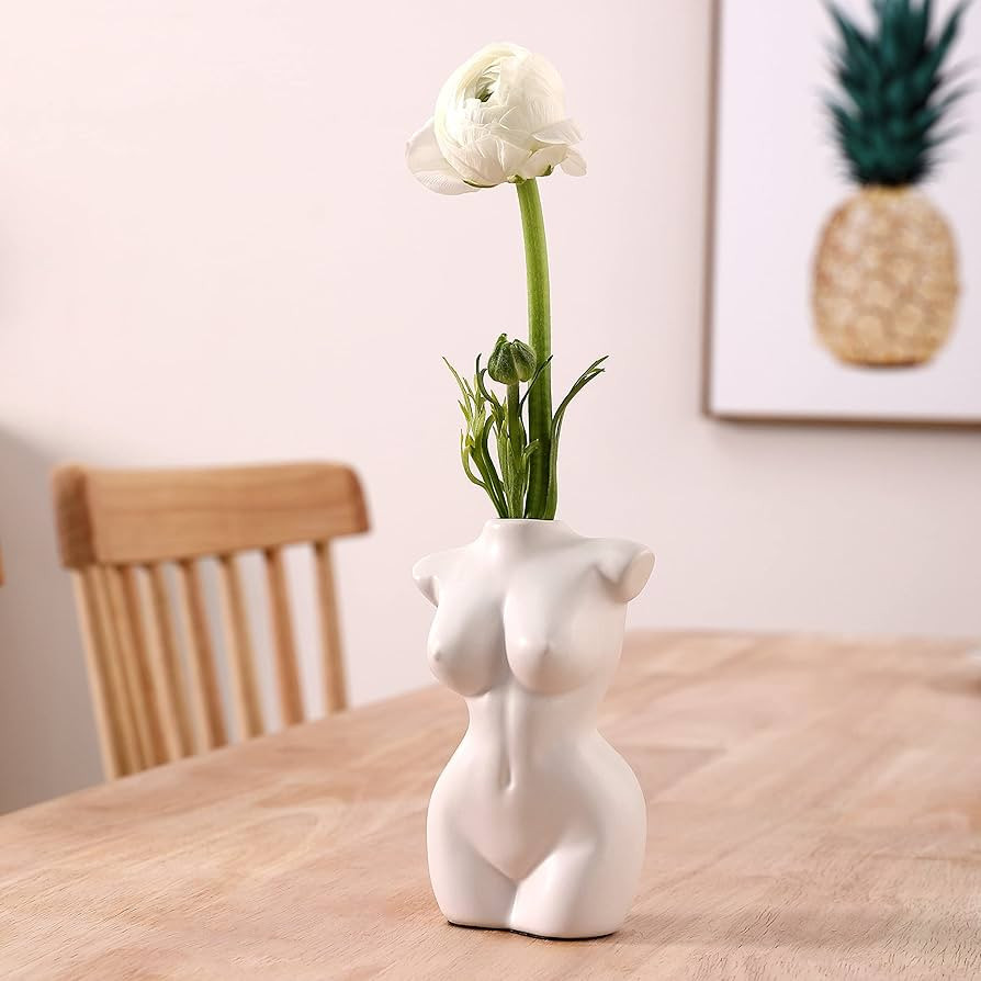 Female Body Vase - Women's Anatomical Form Planter for Flowers, Plants - Decorative Modern Indoor... | Amazon (US)