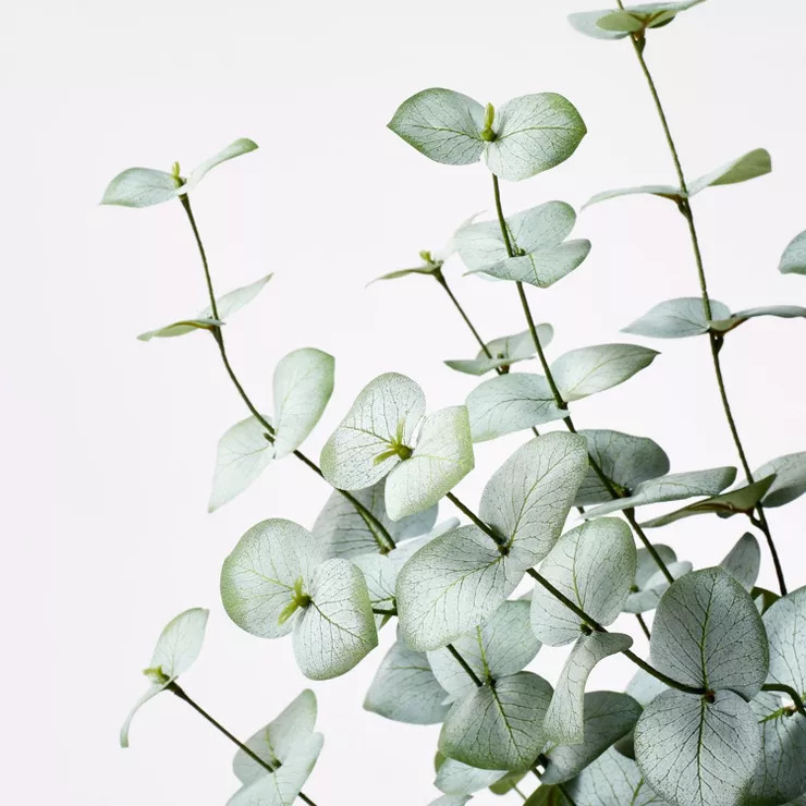 Large Artificial Eucalyptus Leaf in Pot - Threshold™ designed with Studio McGee | Target