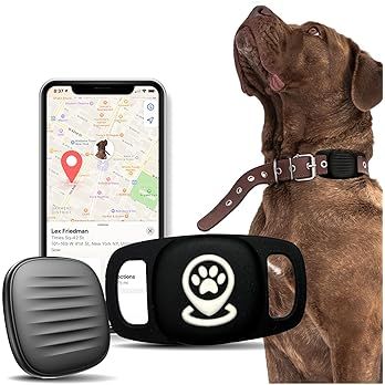 GBVP Dog Tracker Smart Pet Location Tracker with Collar Holder, Personalized Smart Item Finder, M... | Amazon (US)