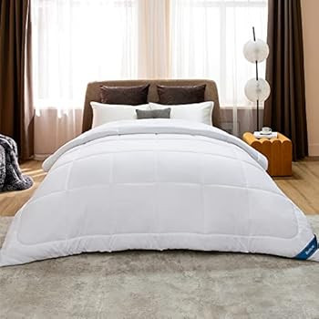 Bedsure Queen Comforter Duvet Insert - Quilted White Comforters Queen Size, All Season Down Alter... | Amazon (US)
