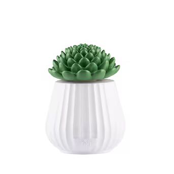 TIKI 5.5-in White with Green Top Glass Citronella Tabletop Torch | Lowe's