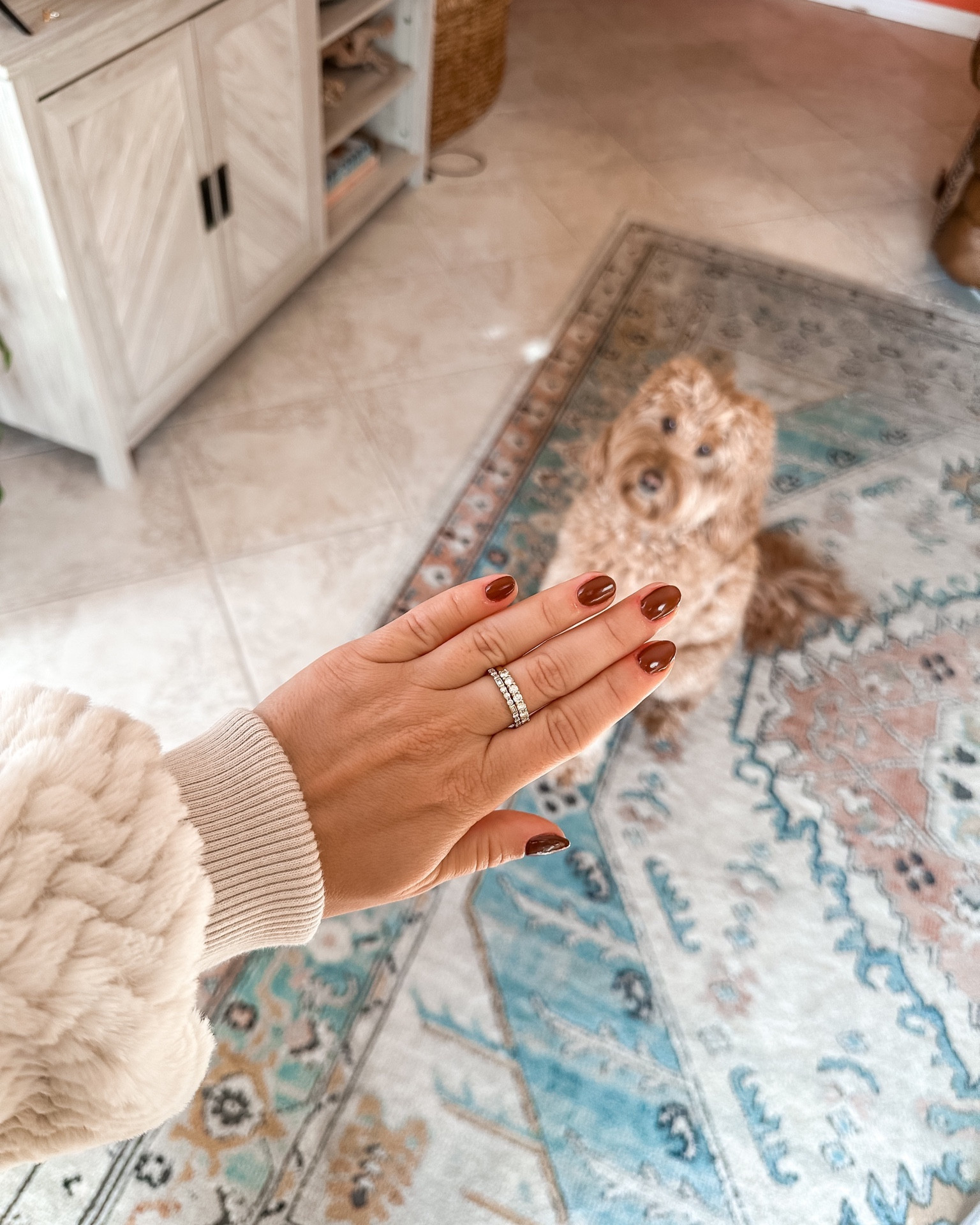 The perfect chocolate brown nail 🤎

OPI espresso your inner self 

Fall nails, winter nail color, brown nails, chocolate brown nails, trending colors, nails at home, OPI, beyond polish

#LTKSeasonal #LTKsalealert