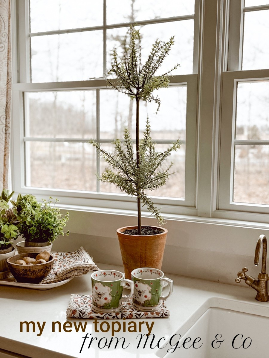 I recently picked up this potted faux rosemary topiary from McGee & Co. for our kitchen. I love the texture of the terracotta pot and the soft greens of the faux rosemary. I also rounded up a bunch of other great topiaries from across the web. 

#LTKHome #LTKSaleAlert #LTKSeasonal