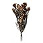 Vickerman 15-18" Brown Phyliscens Bundle. Includes 6 oz per Bundle, Preserved | Amazon (US)