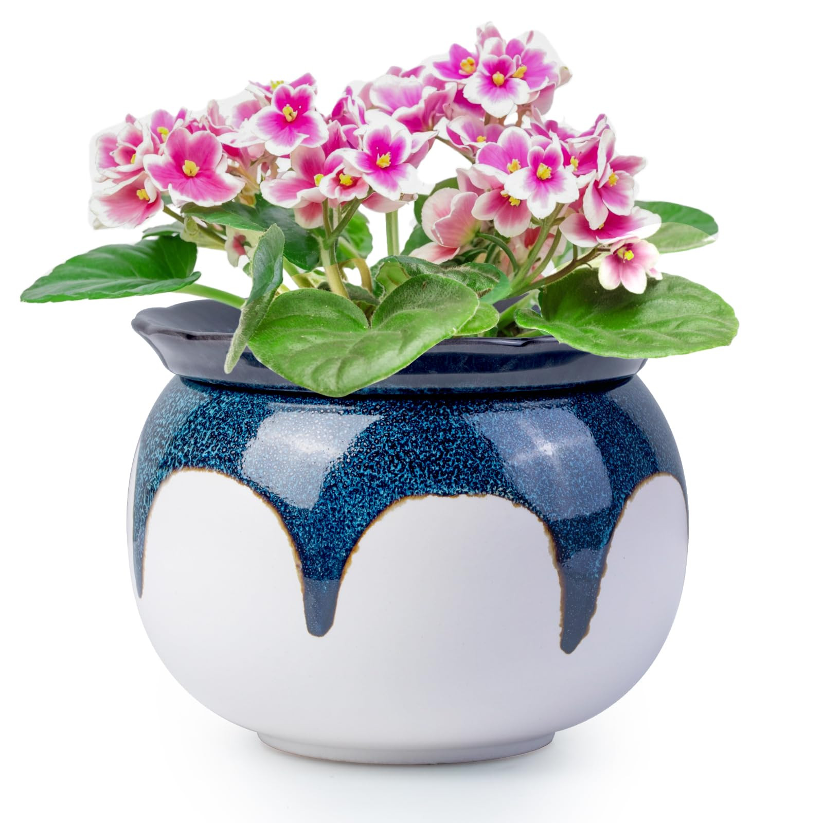 African Violet Pots, 6 Inch Self Watering Pots for Indoor Plants, Easy Plant Self Watering Plante... | Amazon (US)
