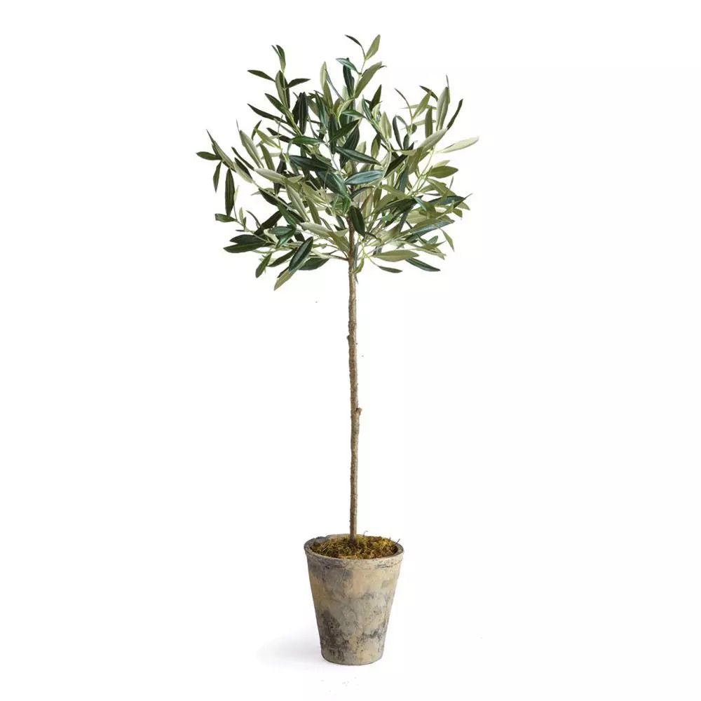 Olive Tree Potted 46" | Scout & Nimble
