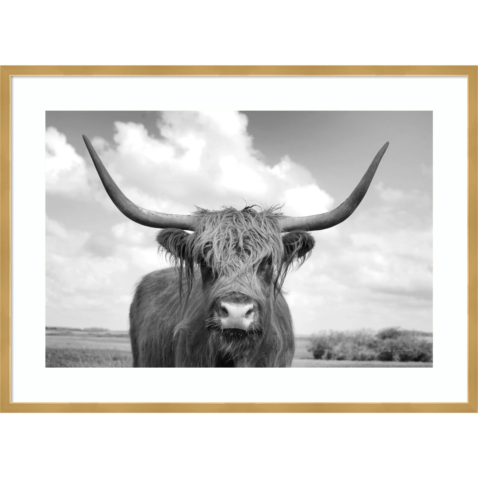 Highland Cow On The Ranch by Andre Eichman | Wayfair North America