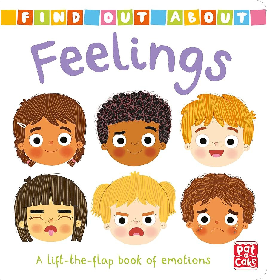 Feelings: A lift-the-flap board book of emotions | Amazon (UK)
