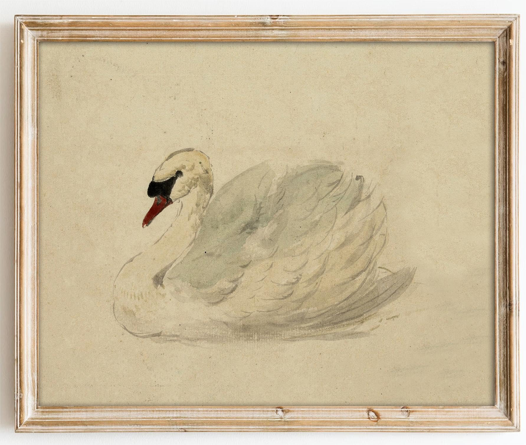 Kizbok Vintage Wall Art Decor Classical Swan Canvas Prints Farmhouse Wall Decor Rustic Watercolor... | Amazon (US)