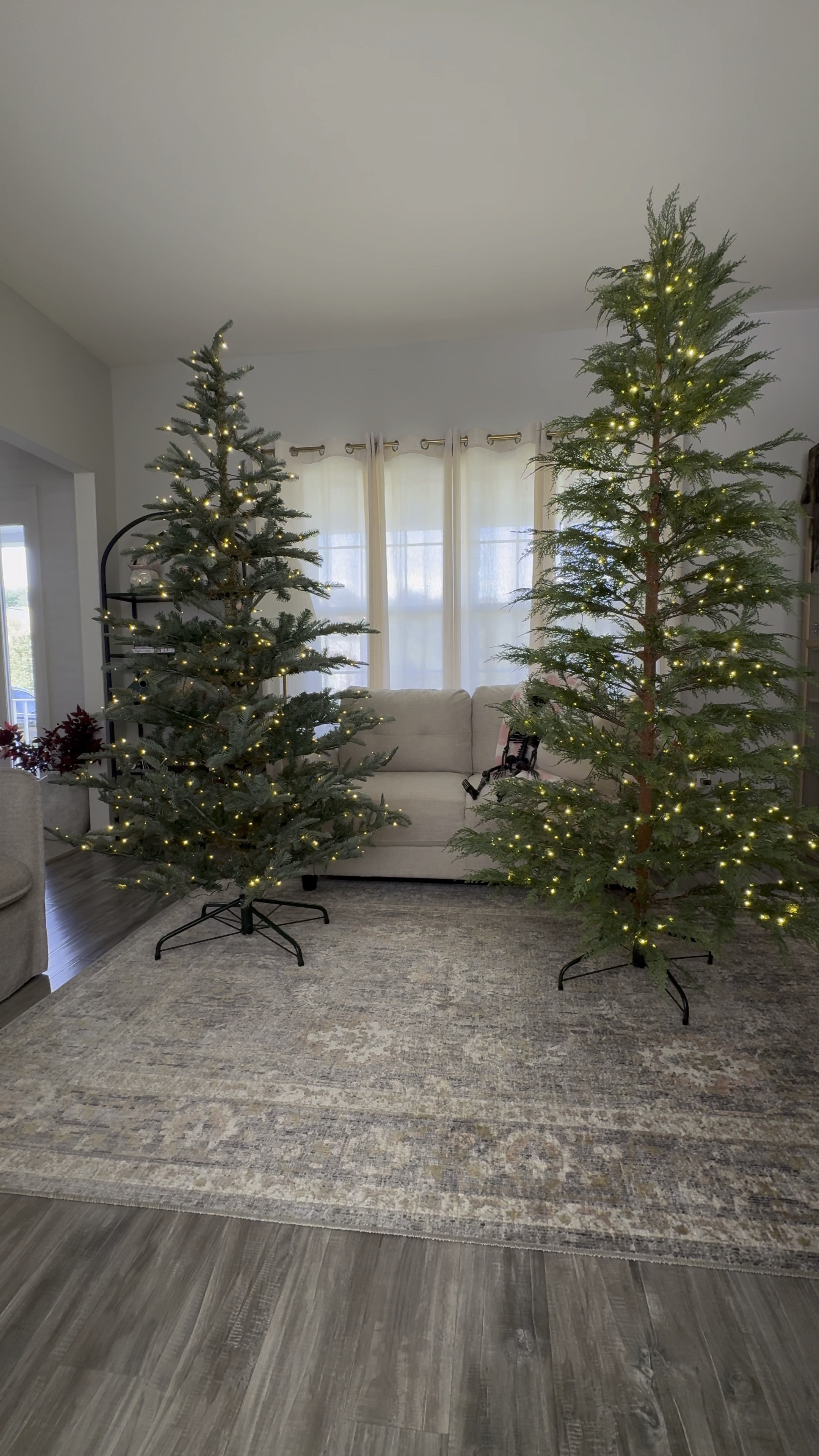 King of Christmas 7 foot Noble fir LED lights vs 7 1/2 foot my Texas house Christmas tree from Walmart comparison

#LTKHome #LTKSeasonal #LTKVideo